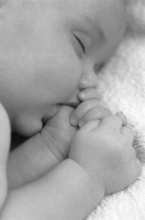 babys.jpg